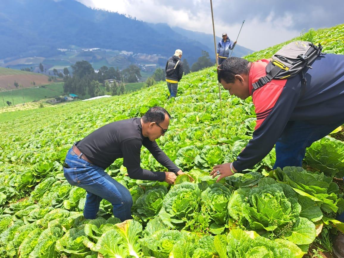 kabar gembira bagi para petani inovasi anak asli sukabumi dengan temuan nya menciptakan pupuk Cano80 untuk membantu para petani